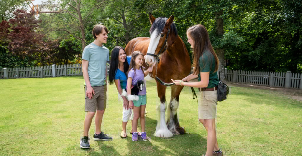 Spring Break at Busch Gardens Williamsburg. 