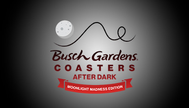 Coasters After Dark Logo