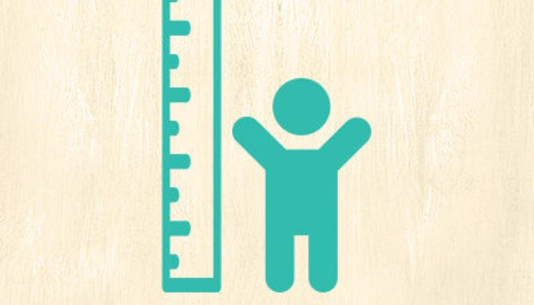 Busch Gardens Williamsburg Height Check