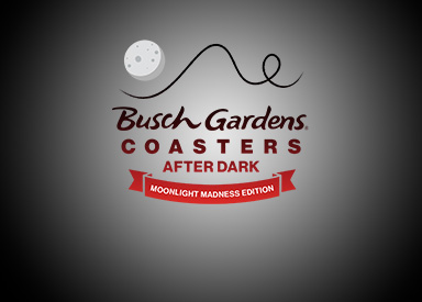 Coasters After Dark: Moonlight Madness Edition
