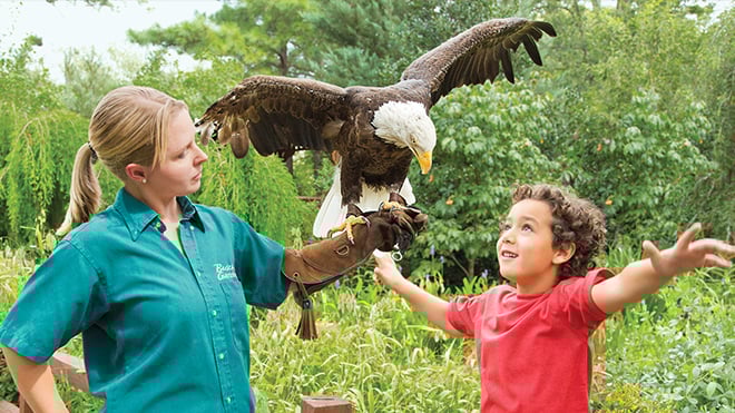 Animal Encounters at Busch Gardens Williamsburg