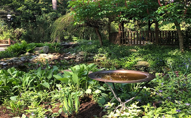 Birdbath