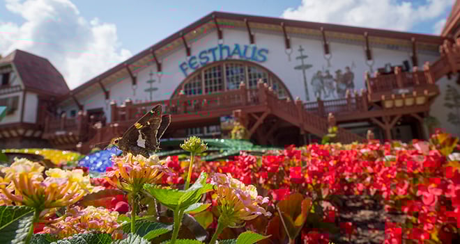 Become a Member at Busch Gardens Williamsburg