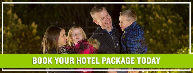 Get hotel accomodations, theme park tickets and more with a Busch Gardens Vacation Package