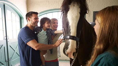 Discounted admission  to theme park and water park for Military Veterans