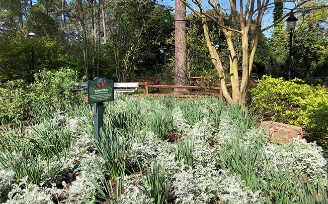 Butterfly Garden