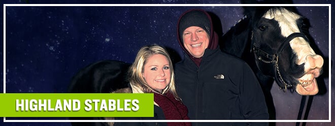 Smile with the Clydesdale horses for a Christmas photo