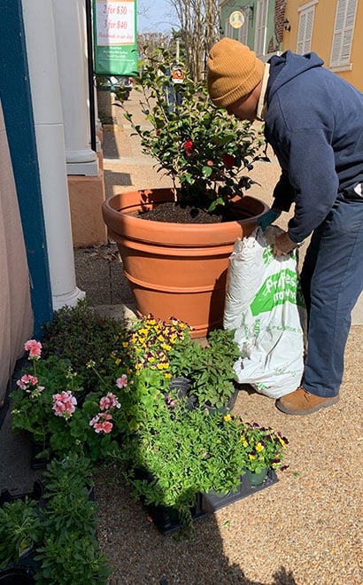 Landscape Team Member preparing a planting container in Italy at Busch Gardens Williamsburg