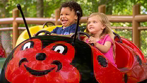 Land of the Dragons includes kids rides, tree house, climbing ropes, slides, and a water play area.