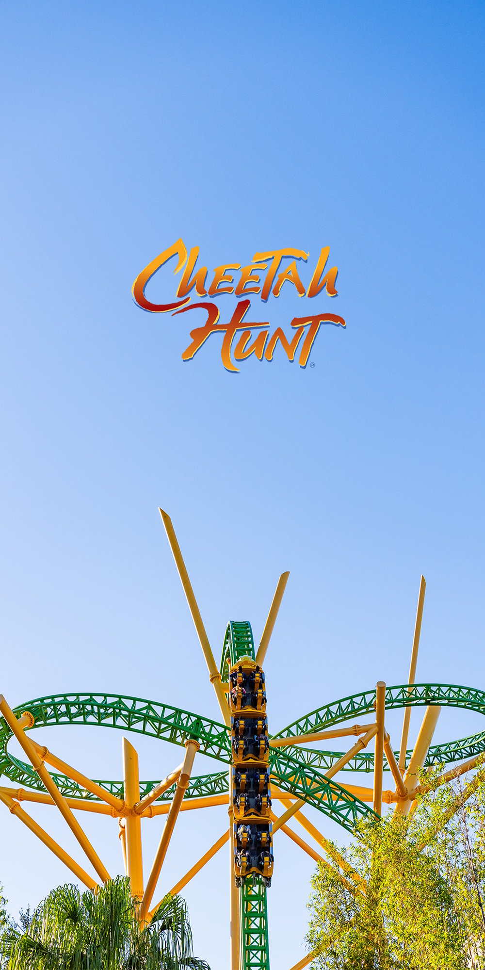 Rollercoaster