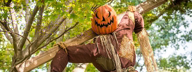 Howl-O-Scream scarecrow