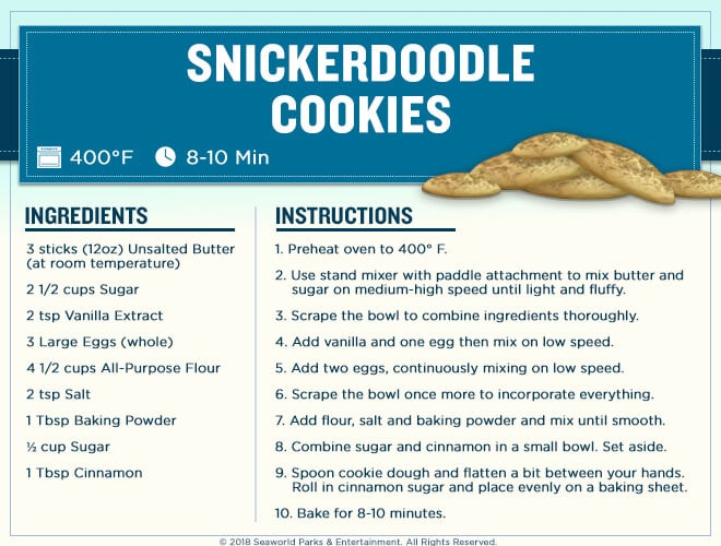 Busch Gardens Chef Justin's Snickerdoodle cookie recipe