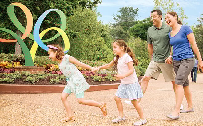 Visit Busch Gardens again and again