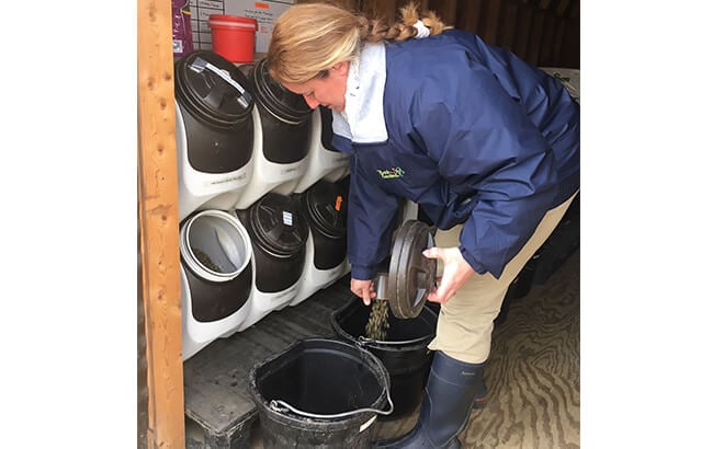 Behind the scenes of a Team Member preparing lunch for the animals