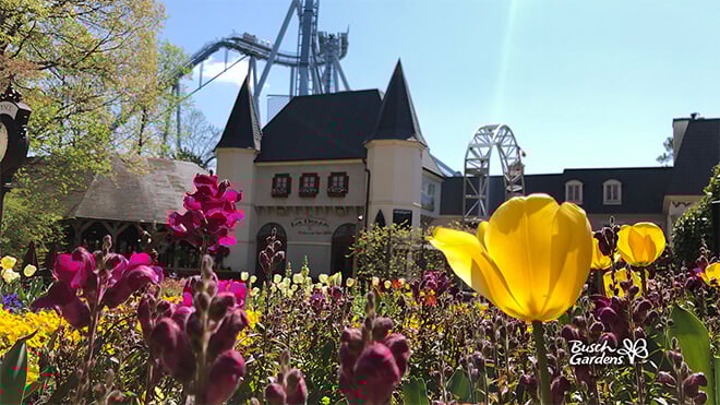 France Landscape Virtual Conferencing Background Preview