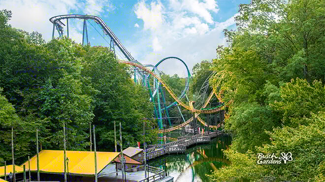 Coasters from the Rhine Conferencing Background Preview