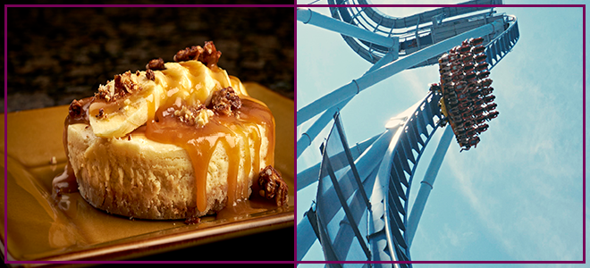 Cheesecake + Griffon